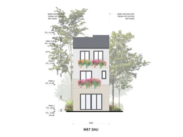 Mùa lễ hội - Rừng mai Townhouse mẫu e mặt sau