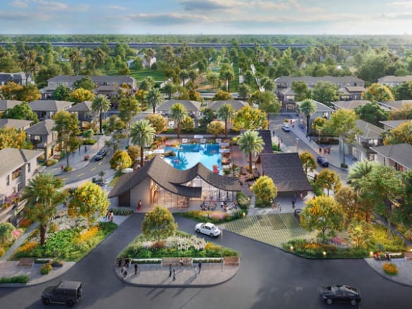 Mùa lễ hội - Rừng mai