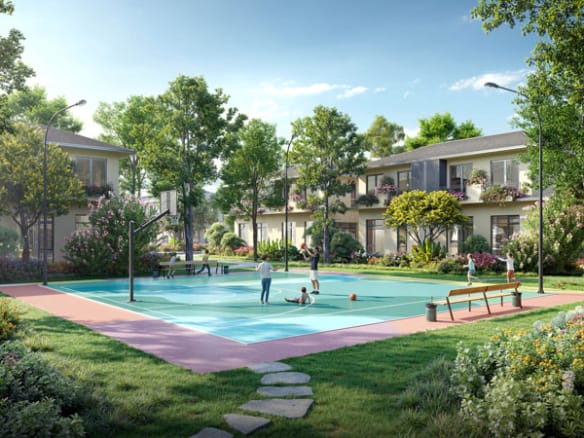 Mùa lễ hội - Rừng mai