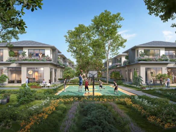 Mùa lễ hội - Rừng mai