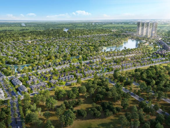 Mùa lễ hội - Rừng mai