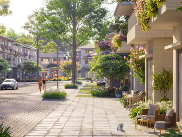 Mùa lễ hội - Rừng mai