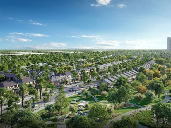 Mùa lễ hội - Rừng mai