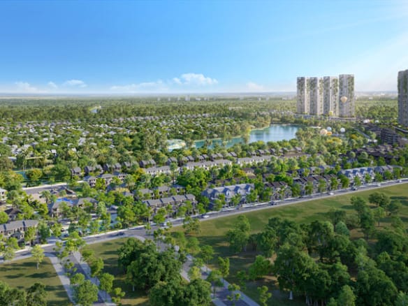 Mùa lễ hội - Rừng mai