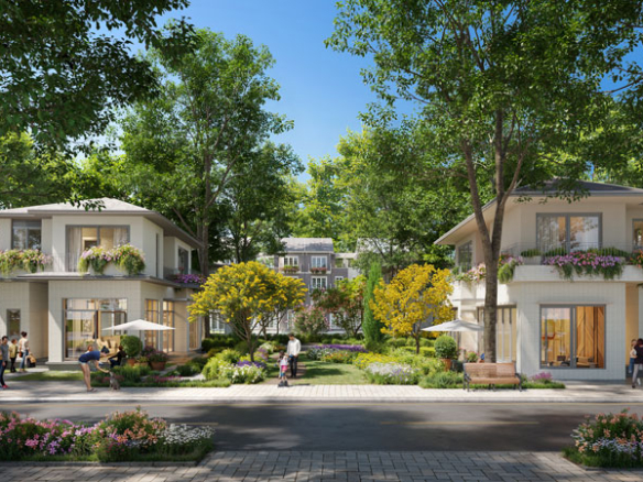 Mùa lễ hội - Rừng mai Villa đơn lập