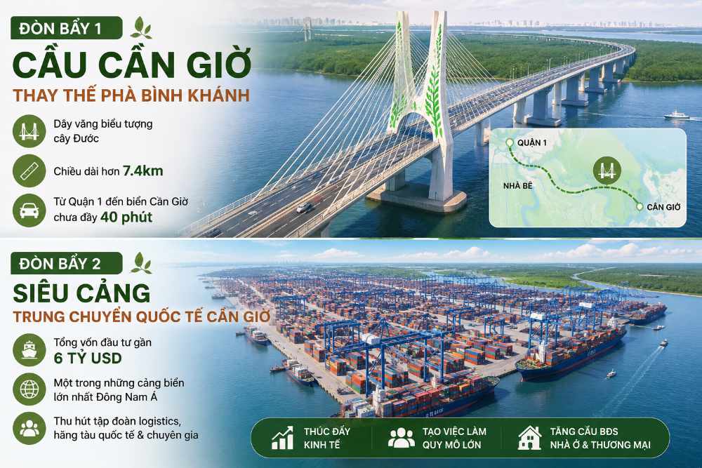 Đòn bẩy vĩ mô nâng tầm giá trị đất nền thổ cư Cần Giờ